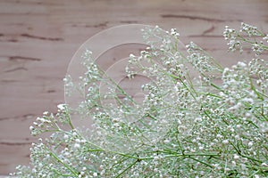 Gypsophila white flowers on wooden background.