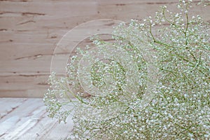 Gypsophila white flowers on wooden background.