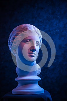 Gypsum copy of ancient statue Venus head on a dark blue textured background. Plaster sculpture woman face. photo
