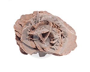 Gypsum desert sand rose