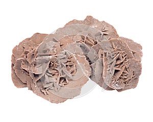 Gypsum desert sand rose