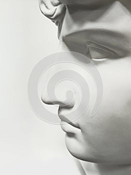 Gypsum profile Antinous. Nose, mouth, eye on a light gray photo