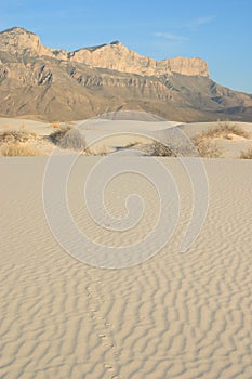 Gypsum Sand Dunes