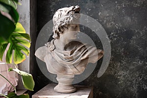 Gypsum statue of a bust of God Apollo on a gray textured background by the window light
