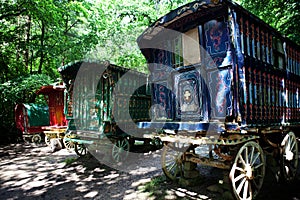 Gypsy caravan forest cart photo