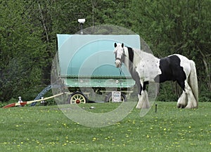 Gypsy Caravan with Horse