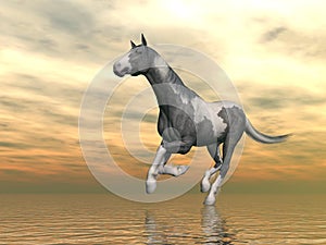 Gypsy vanner horse running - 3D render