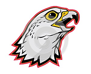 Gyrfalcon Mascot Head, Largest Falcon Bird