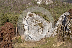 GÃ³ra ZborÃ³w Berkowa GÃ³ra - a rocky hill within the village of Podlesice in the ÅšlÄ…skie Voivodeship