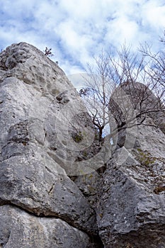 GÃ³ra ZborÃ³w Berkowa GÃ³ra - a rocky hill within the village of Podlesice in the ÅšlÄ…skie Voivodeship