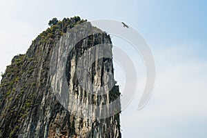 El gran águila volador a través de belleza de bahía herencia paginas en 