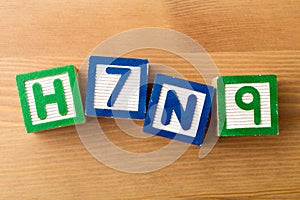 H7N9 toy block