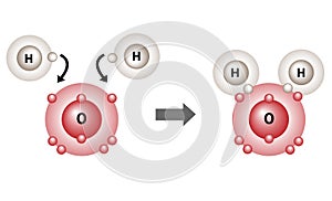 Bonding Structure of Water Molecules Hydrogen and Oxygen