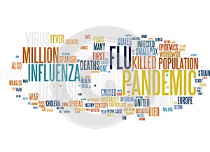 H1N1 Pandemic virus word cloud
