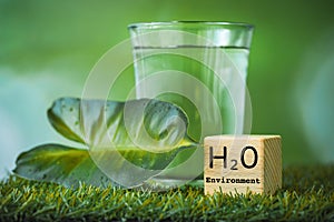 h2o water, Impact of water on the environment and life on earth, environmental science concept, glass of water among greenery,