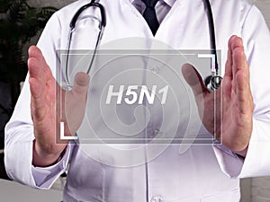 H5N1  sign on the page