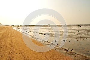 Ha Pak Nai - Mudflat with sunset in Hong Kong