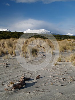 Haast beach