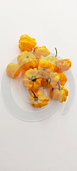 Habaneira pepper in white background detail