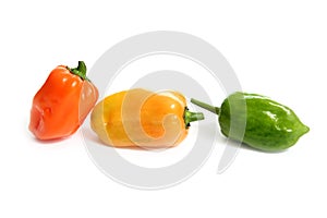Habanero Capsicum chili hottest pepper photo