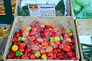 Habanero chillis for sale Naschmarkt Vienna