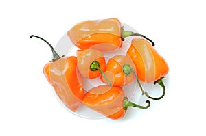 Habanero pepper photo