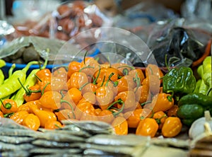 Habanero peppers in a market in Cozumel.