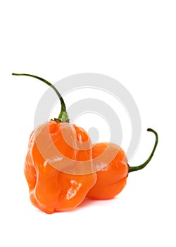 Habaneros
