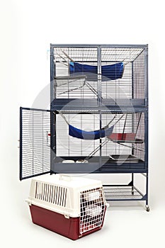 Habitat for ferret living and travelling on white background