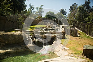 Habitat at Zoologico Guadalajara photo