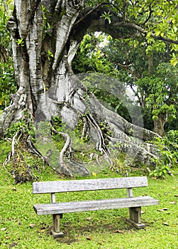 Habitation Clement in Martinique