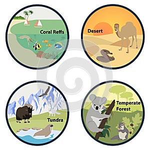 Habitats of the World vector set