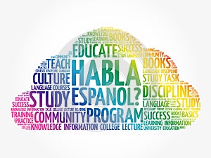 Habla Espanol? (Speak Spanish?) word cloud concept