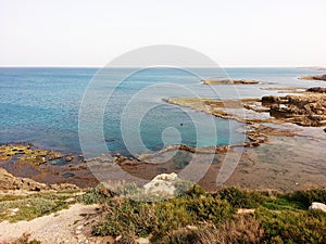 Habonim beach