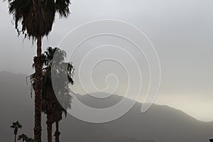 Haboob in the desert 3791 photo