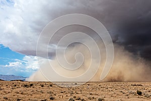 Haboob dust storm in the Arizona desert