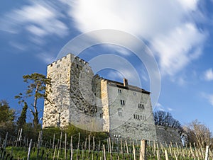 Habsburg Castle in canton Aargau, Switzeland photo