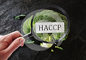 HACCP food safety