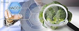 HACCP Hazard Analyses and Critical Control Points - Food Safety and Quality Control in food industry - concept with cabbages