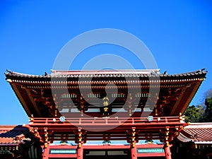 Hachiman Shrine - Kamakura, Japan