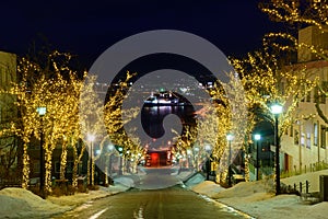 Hachimanzaka and the port of Hakodate at night in Hakodate, Hokkaido