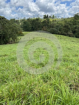 Hacienda Ganadera Ecuador