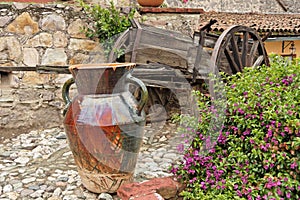 Hacienda Garden Guanajuato photo