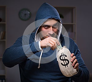 Hacker with sack of money