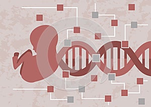 Hacking baby embryo. Decoding the DNA of embryo for checking of the possible mutation or bad genes