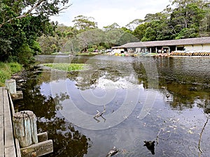 Hacking River @ Royal National Park, Sydney