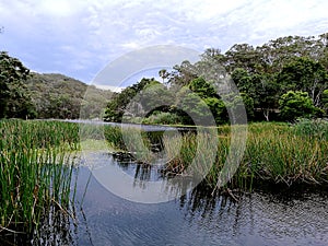 Hacking River @ Royal National Park, Sydney