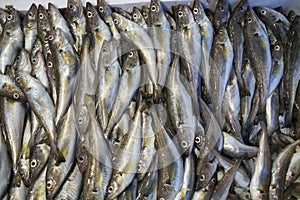 The  haddocks in a fish market