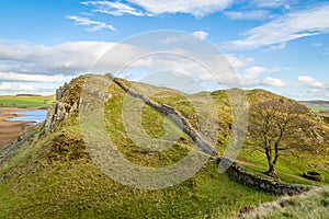 Hadrians Wall featuring the iconic sycamore gap