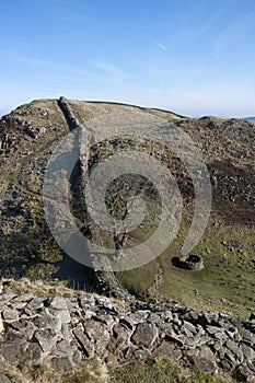 Hadrians Wall Sycamore Gap